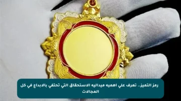 ✨ رمز التميز.. تعرف على أهمية ميدالية الاستحقاق التي تحتفي بالإبداع في كل المجالات